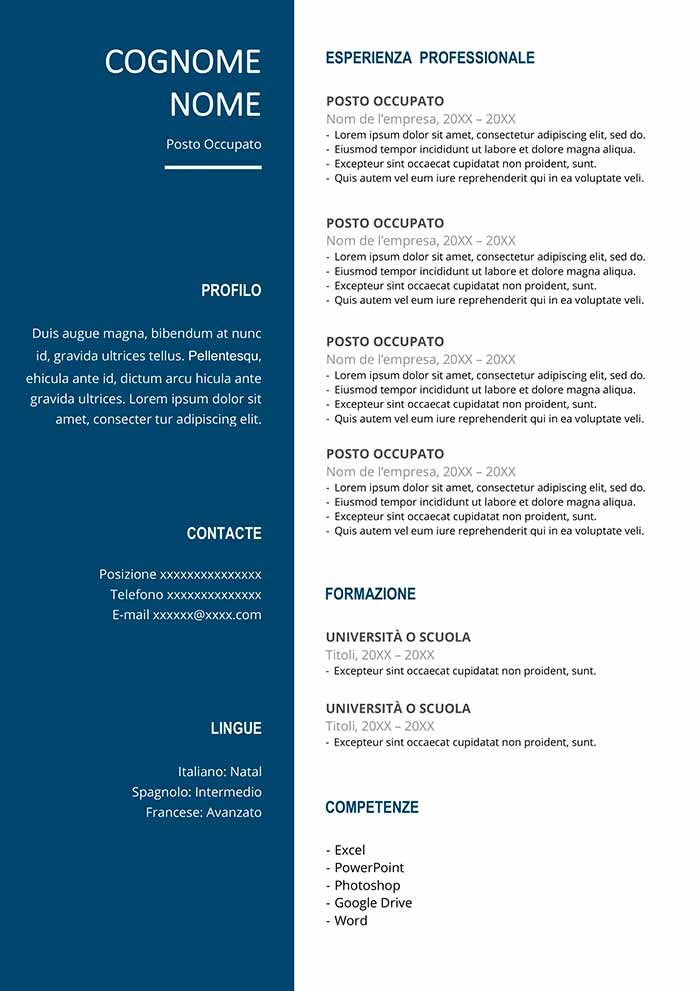 curriculum-vitae-elegante