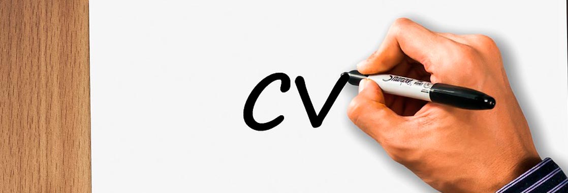 curriculum cronologico curriculum funzionale